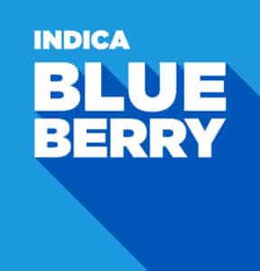 Indica – Blueberry